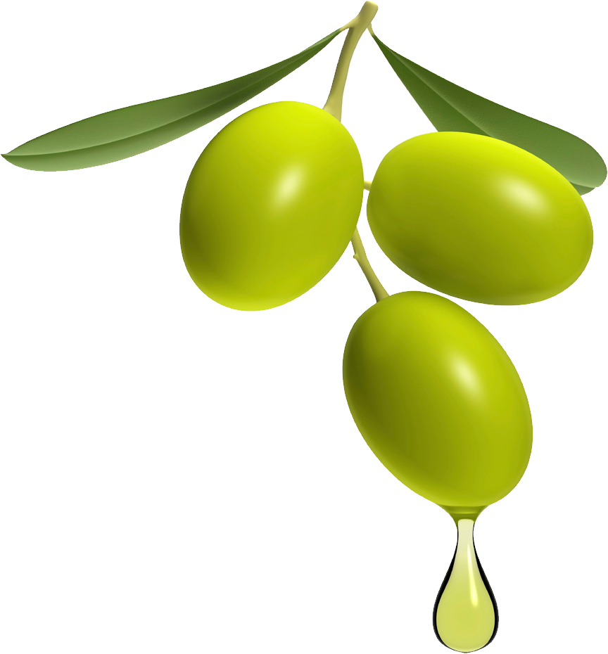 Olive Transparent Image PNG Image