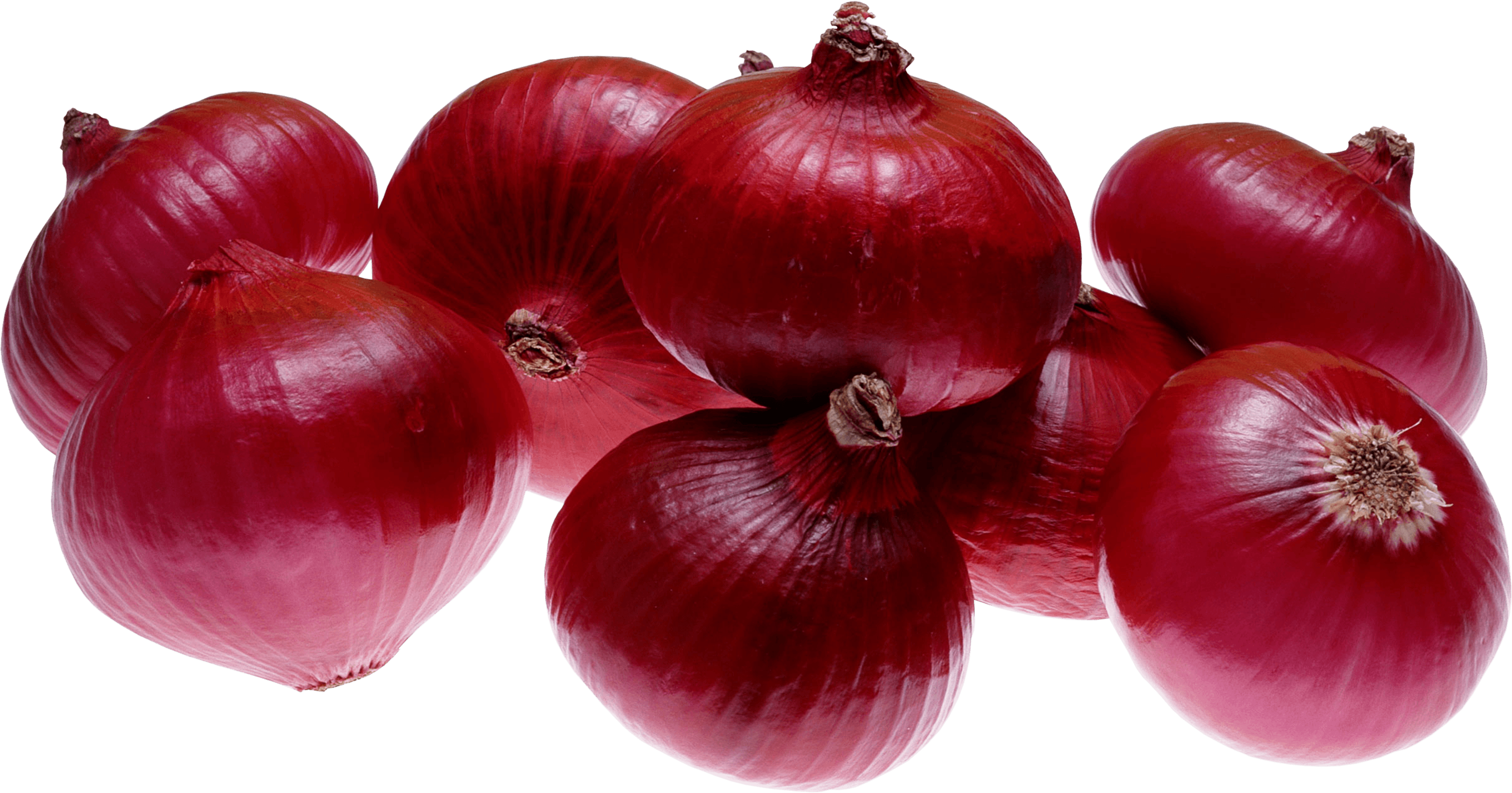 Red Onion Png Image PNG Image