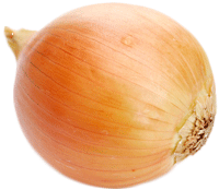 Onion Png Image Download Picture PNG Image