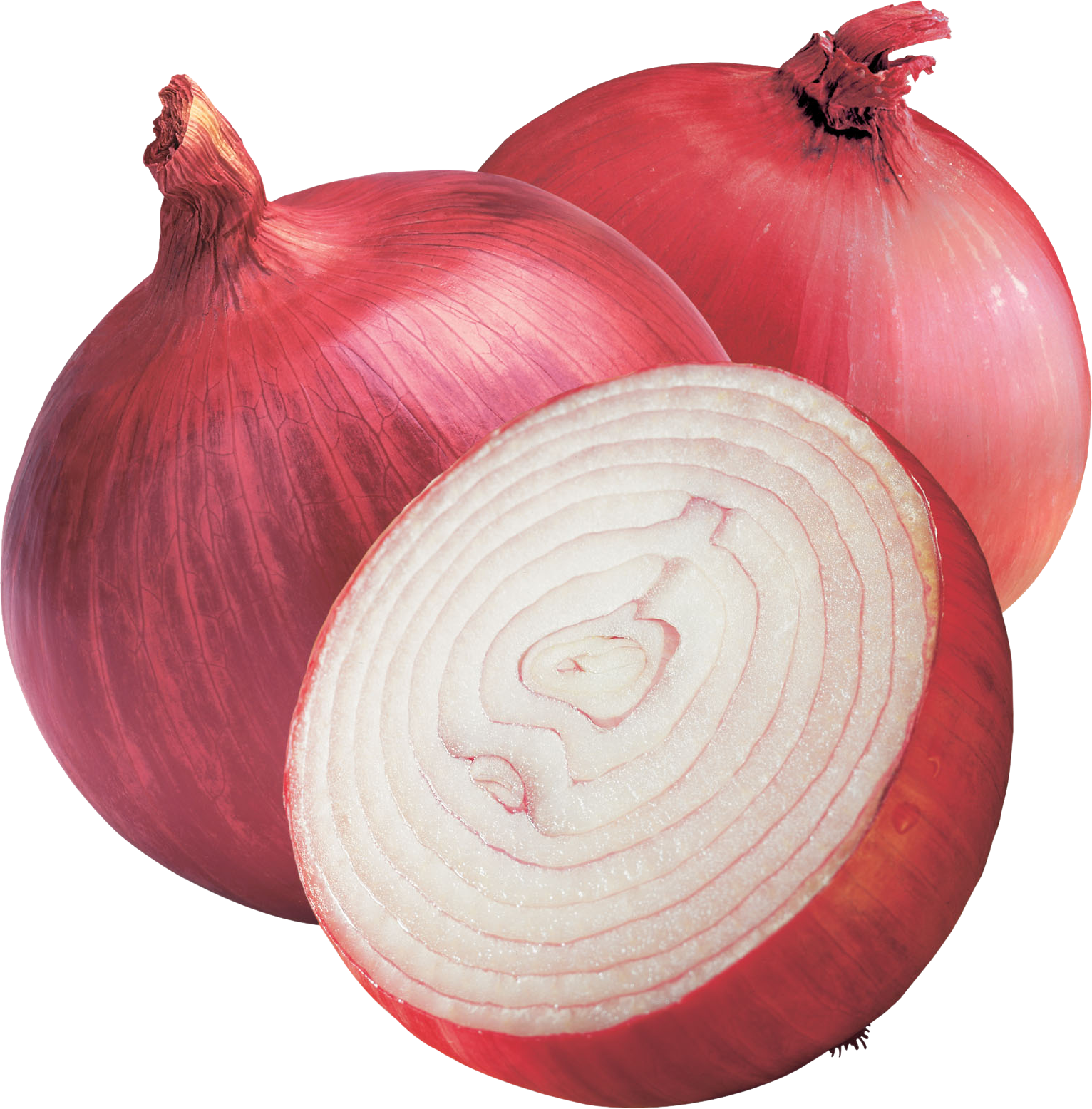 Photos Onion Half Free Transparent Image HD PNG Image