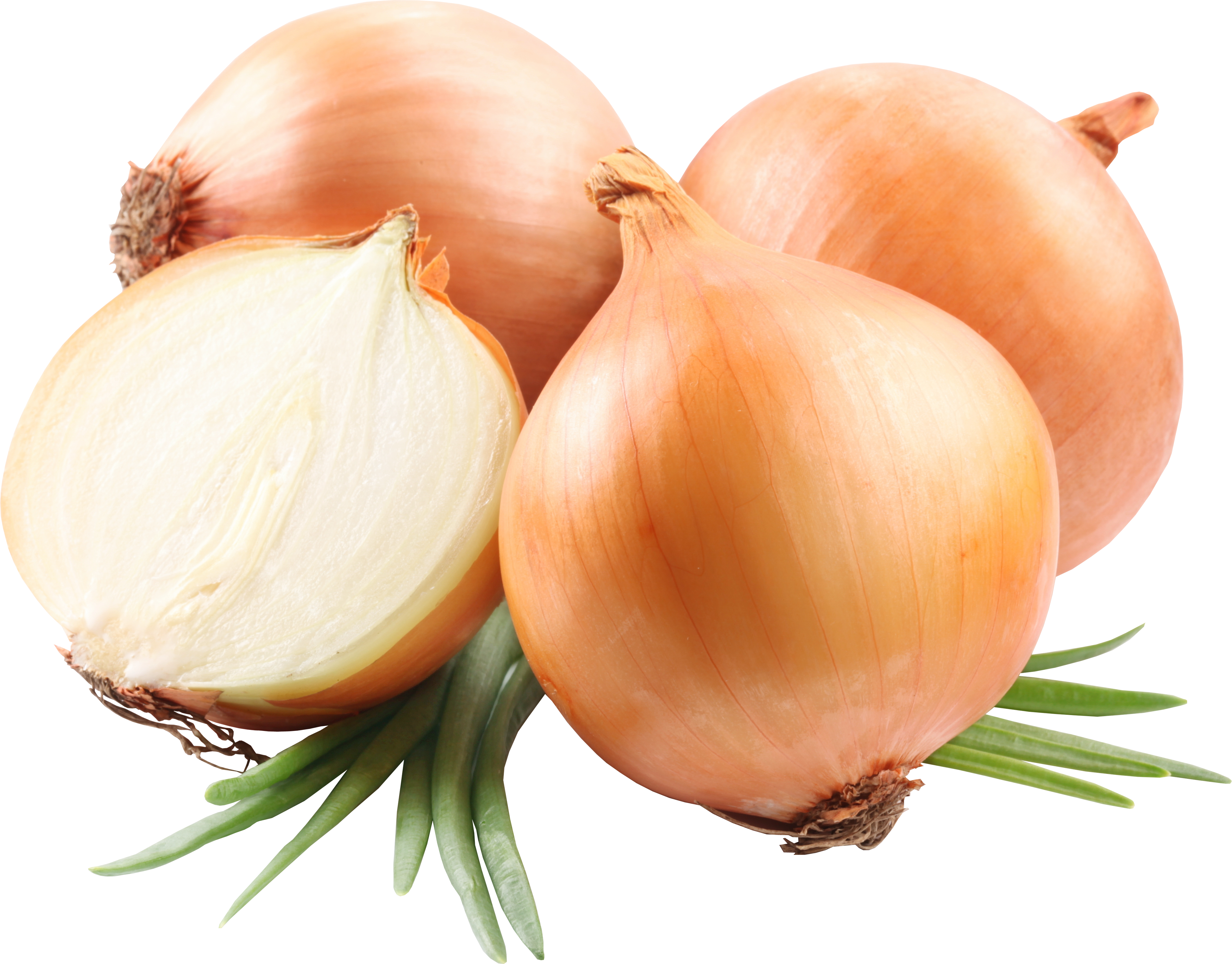 Onion Half Free Photo PNG Image