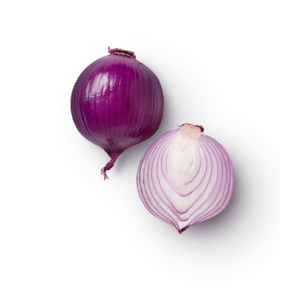 Onion Half Free Transparent Image HD PNG Image