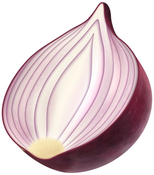 Onion Half HD Image Free PNG Image