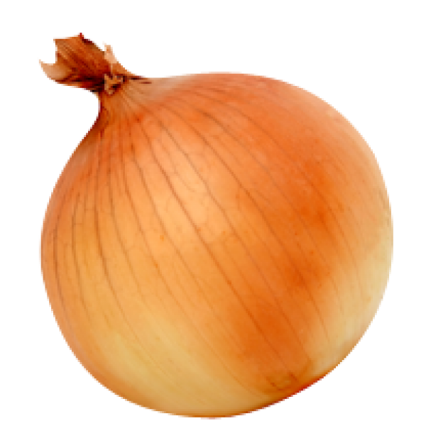 Onion HQ Image Free PNG Image