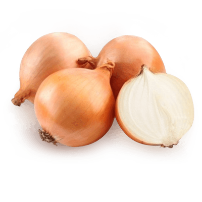 Onion Png Image Download Picture PNG Image