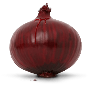 Onion Png Image Download Picture PNG Image