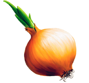 Onion Png Image Download Picture PNG Image