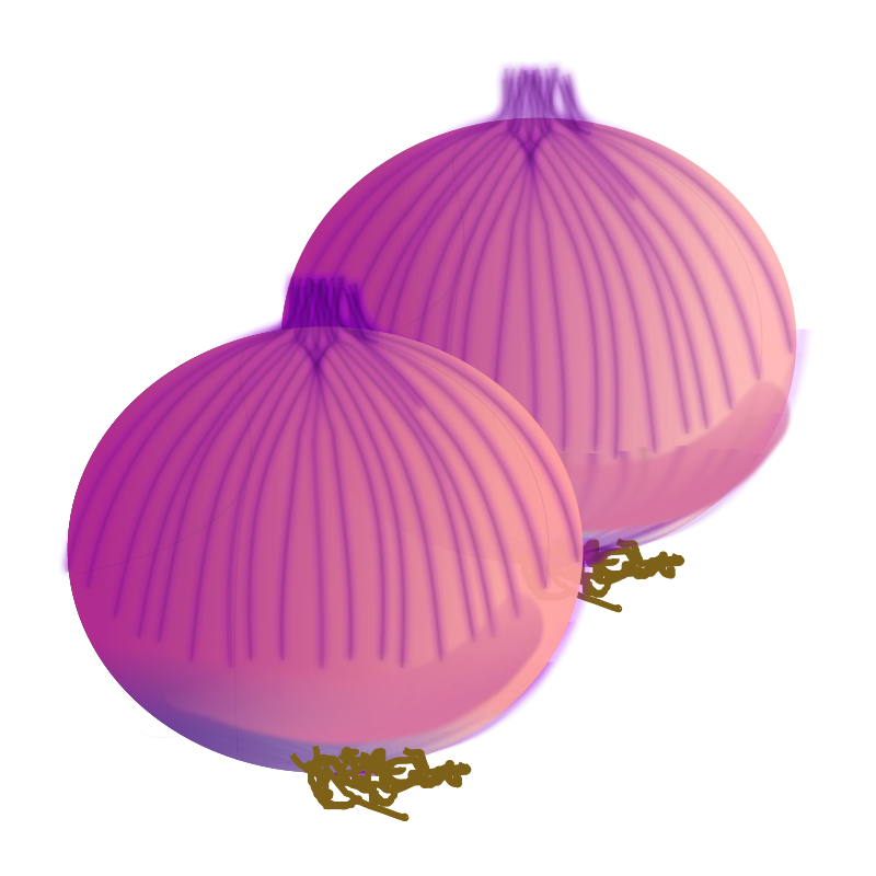 Onion Vector PNG Image