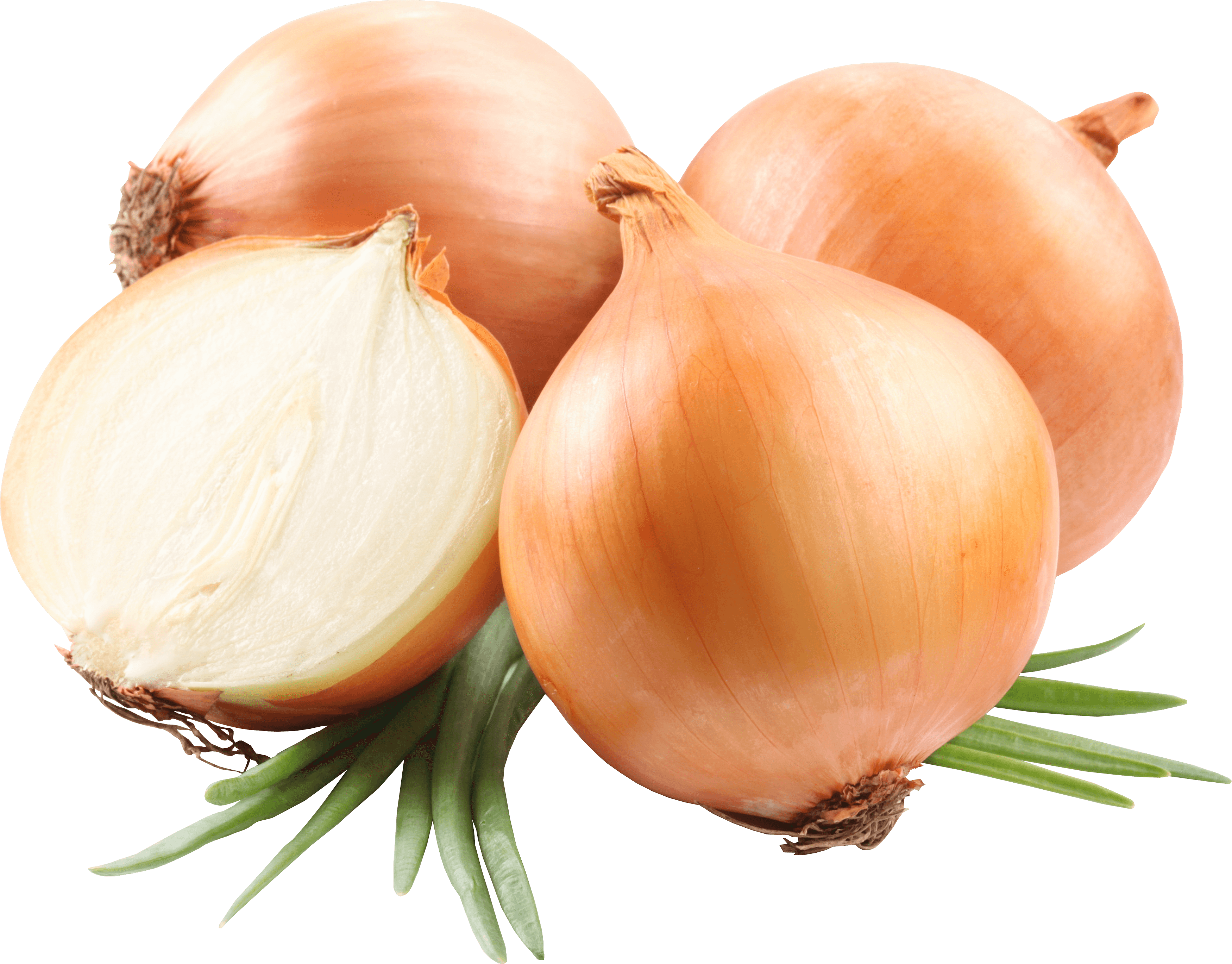 Onion Png Image PNG Image