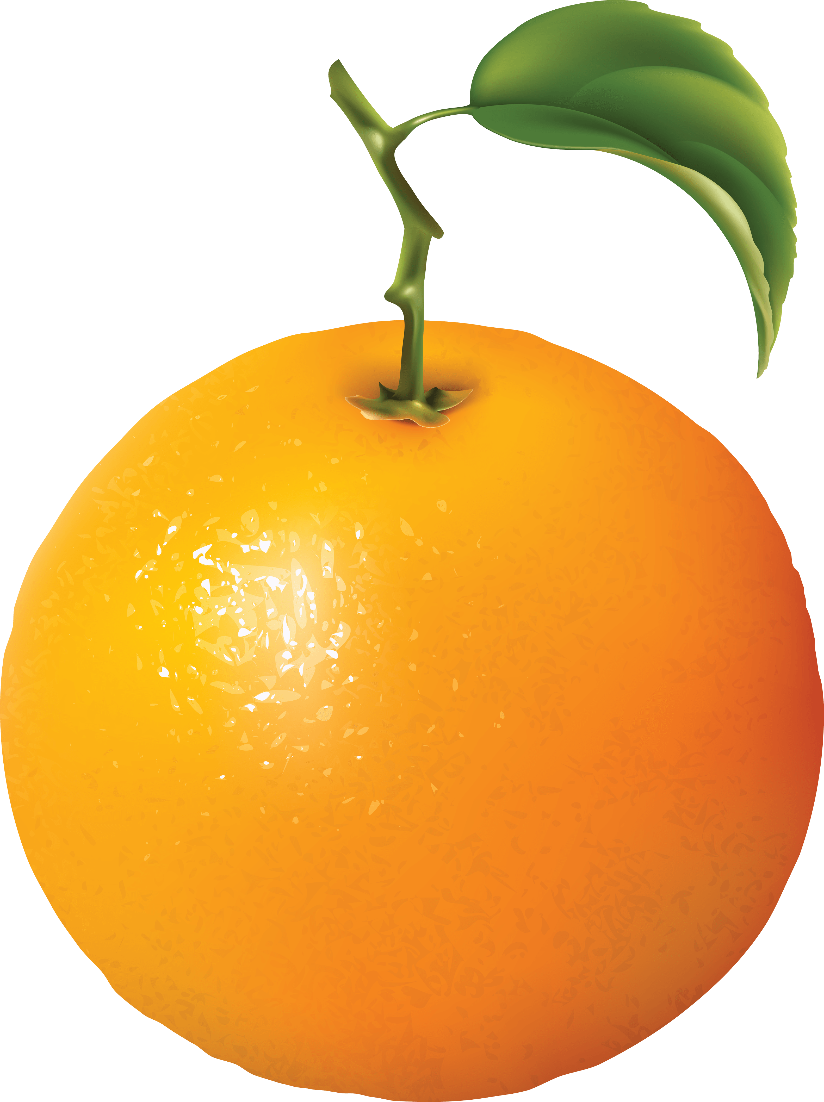 Orange Png Image Download PNG Image