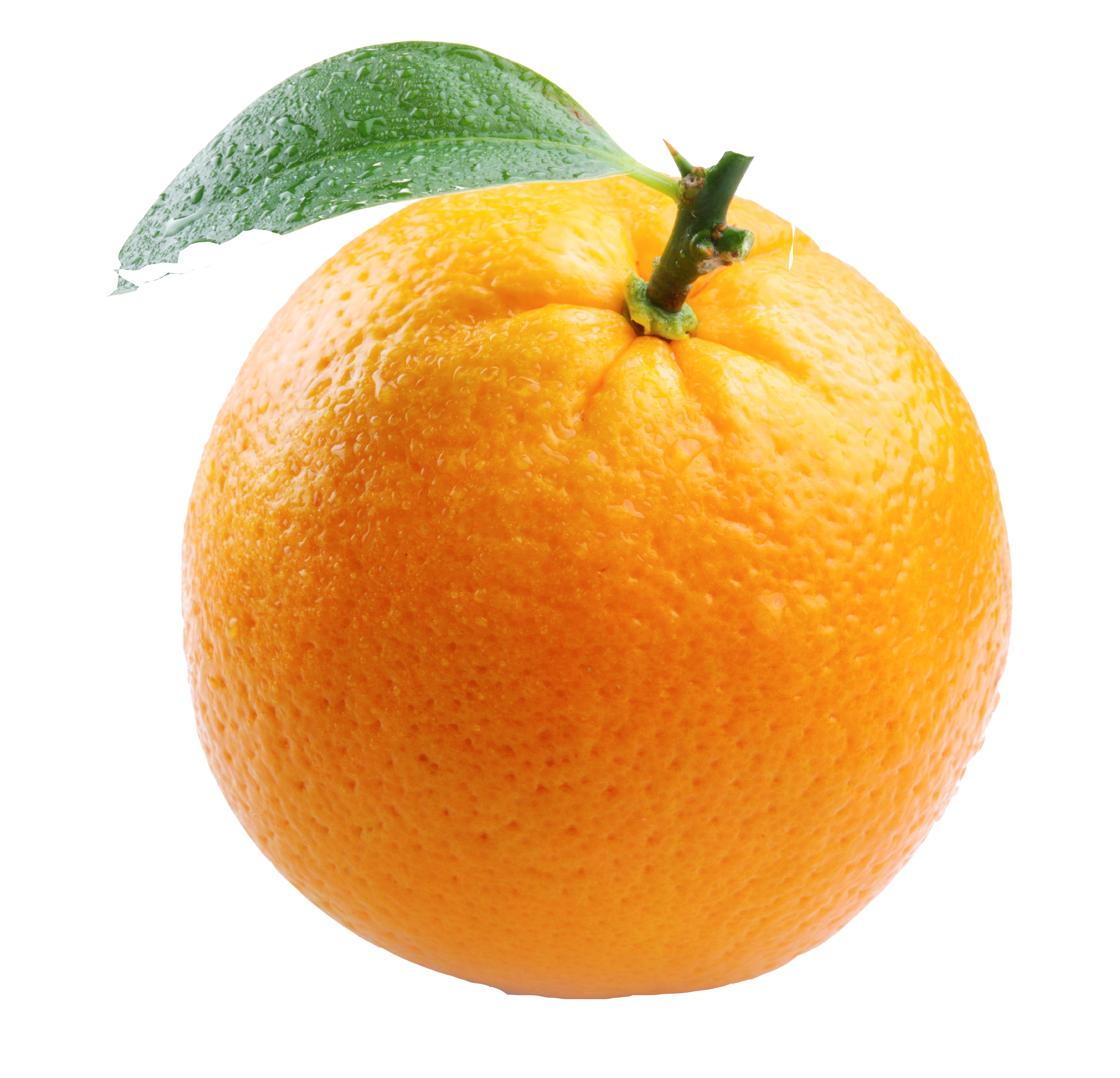 Orange Free Png Image PNG Image