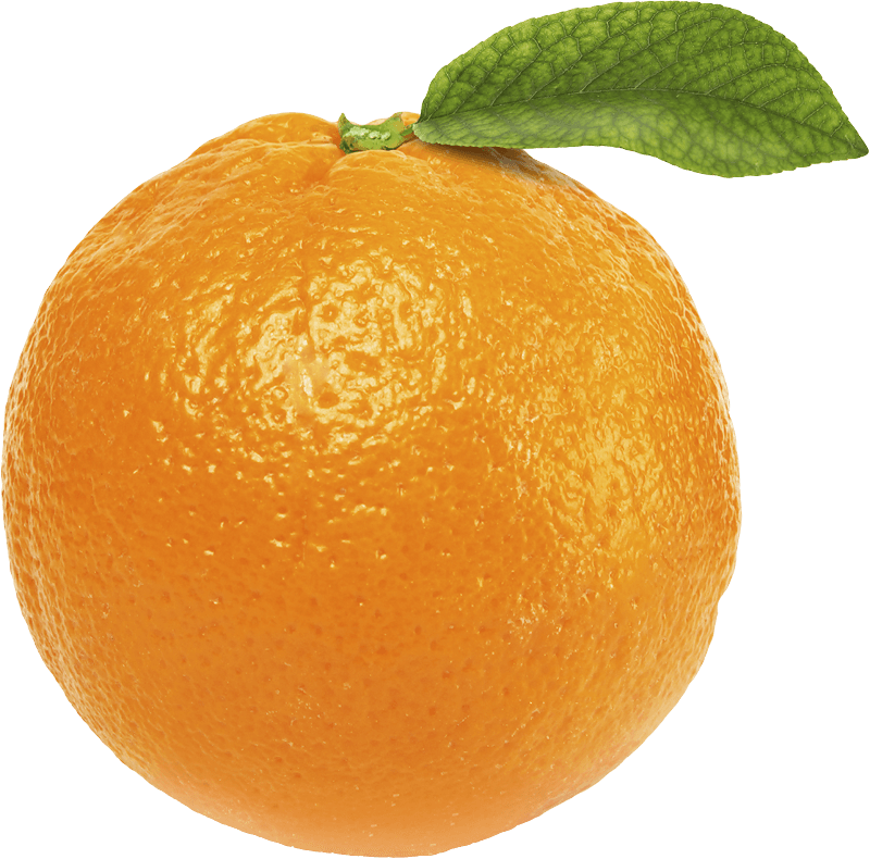 Orange Png Image Download PNG Image