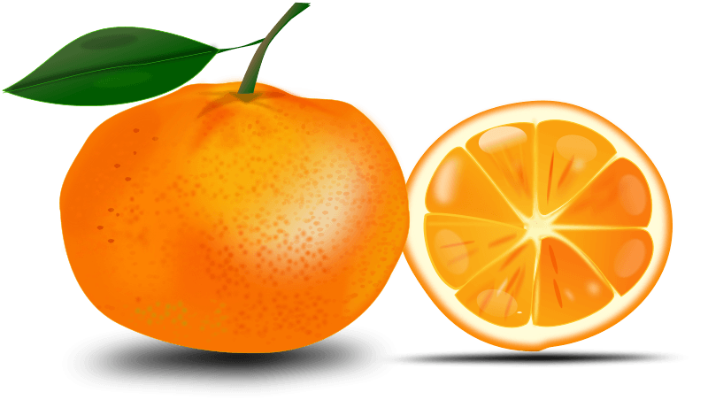 Orange Png Image Download PNG Image