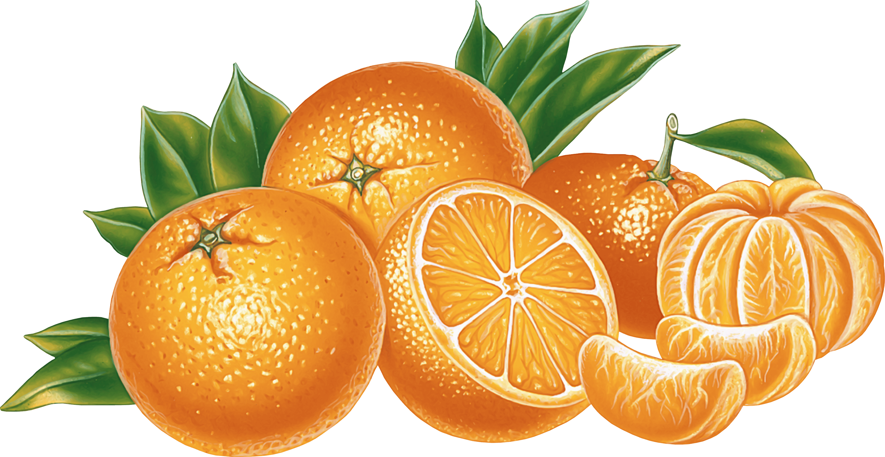 Orange Png Image Download PNG Image