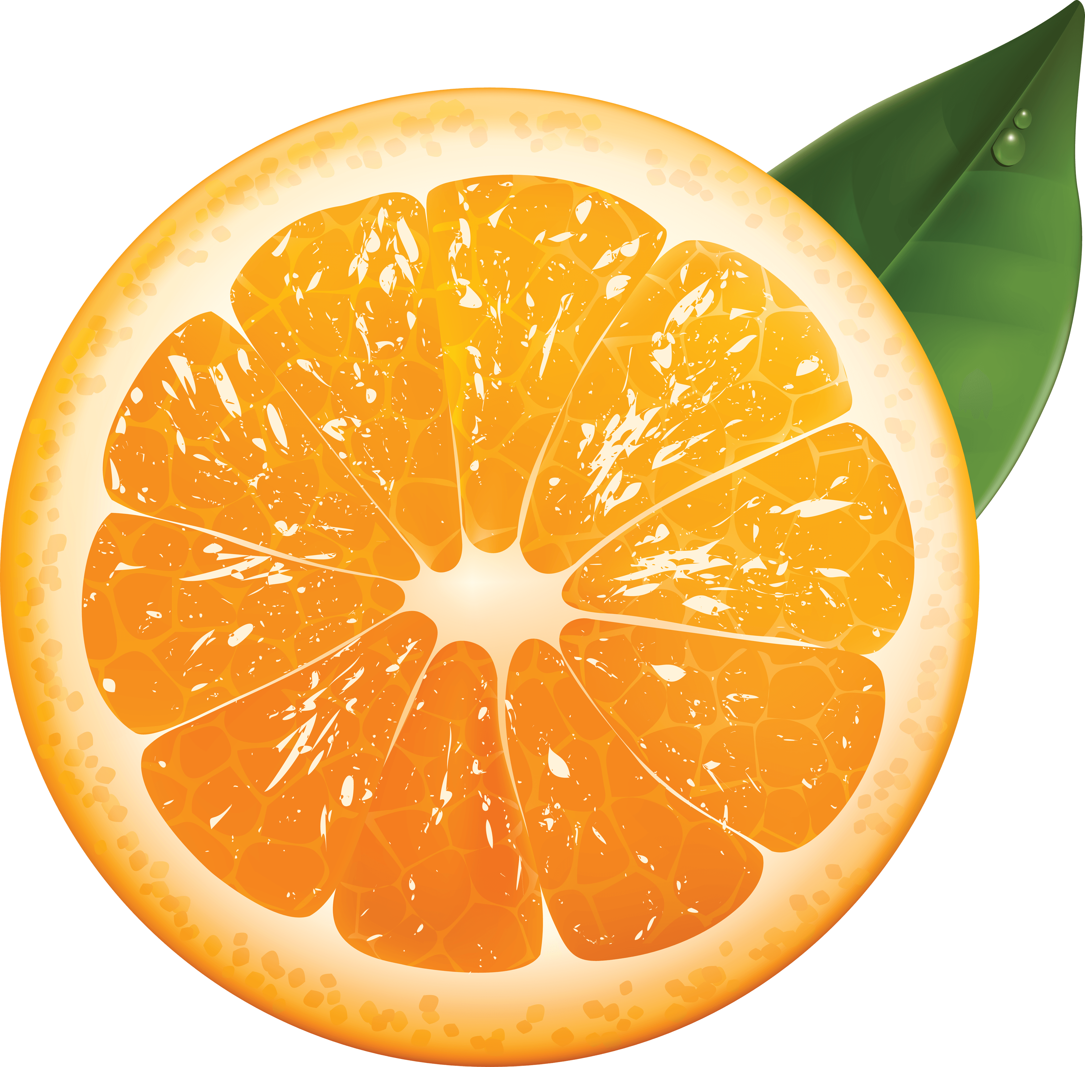 Orange Png Image Download PNG Image