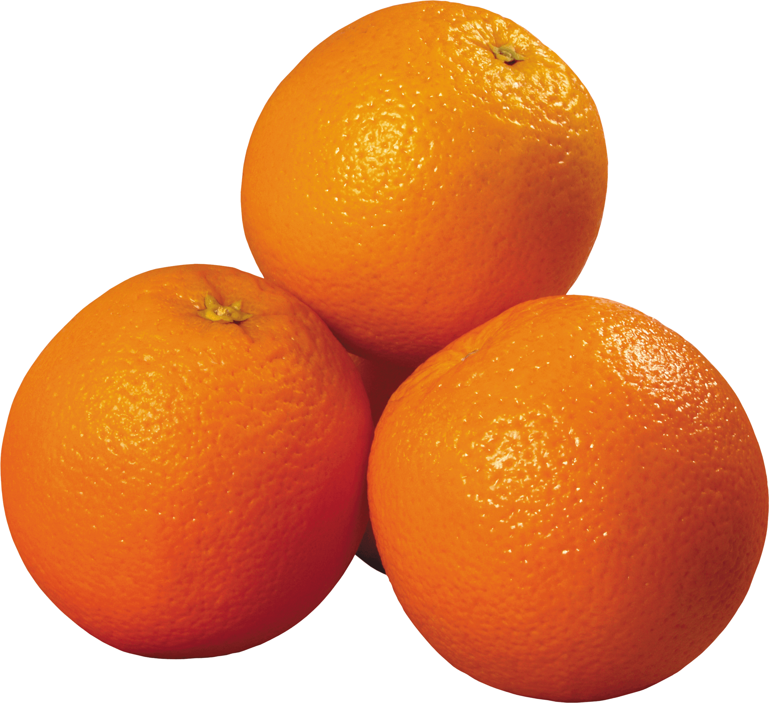 Orange Png Image Download PNG Image