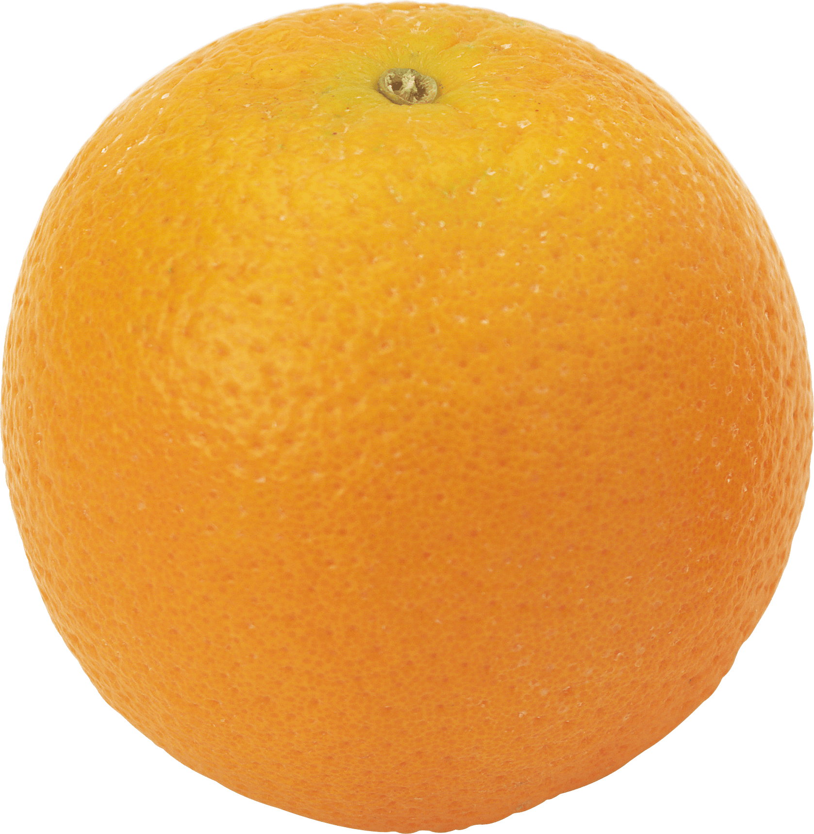 Orange Png Image Download PNG Image