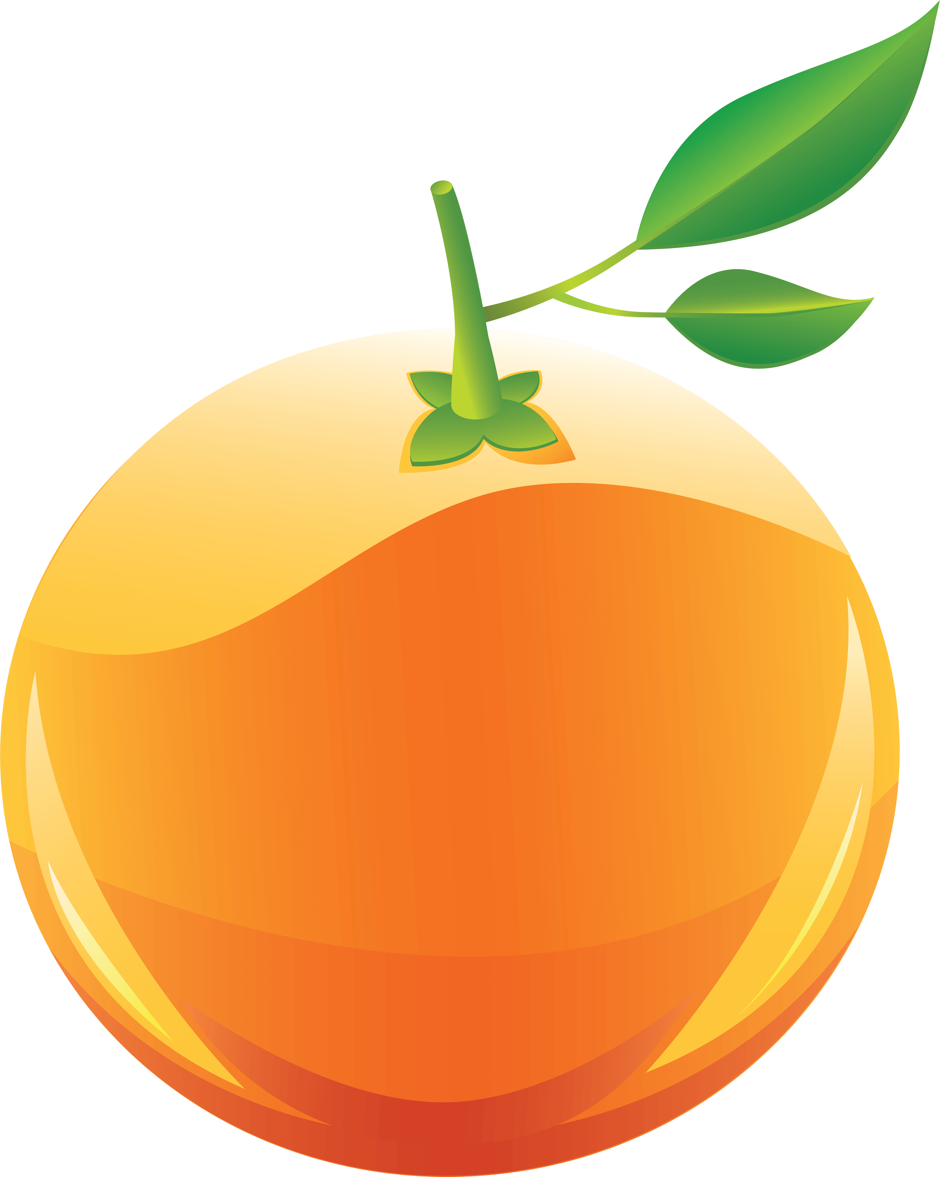 Orange Png Image Download PNG Image