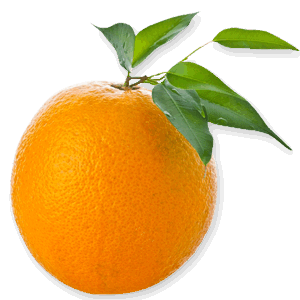 Orange Png Image Download PNG Image