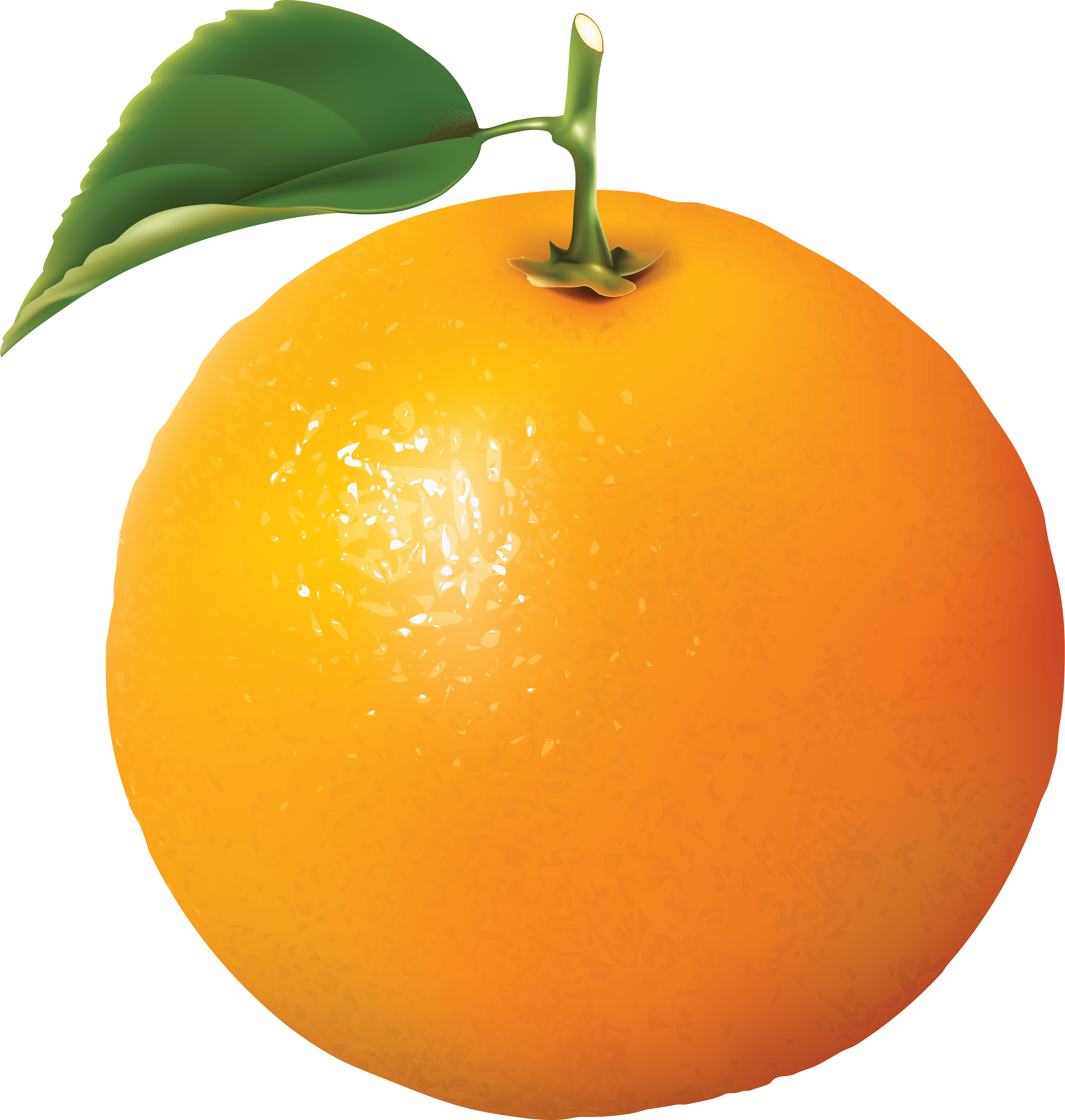 Orange Png Image Download PNG Image