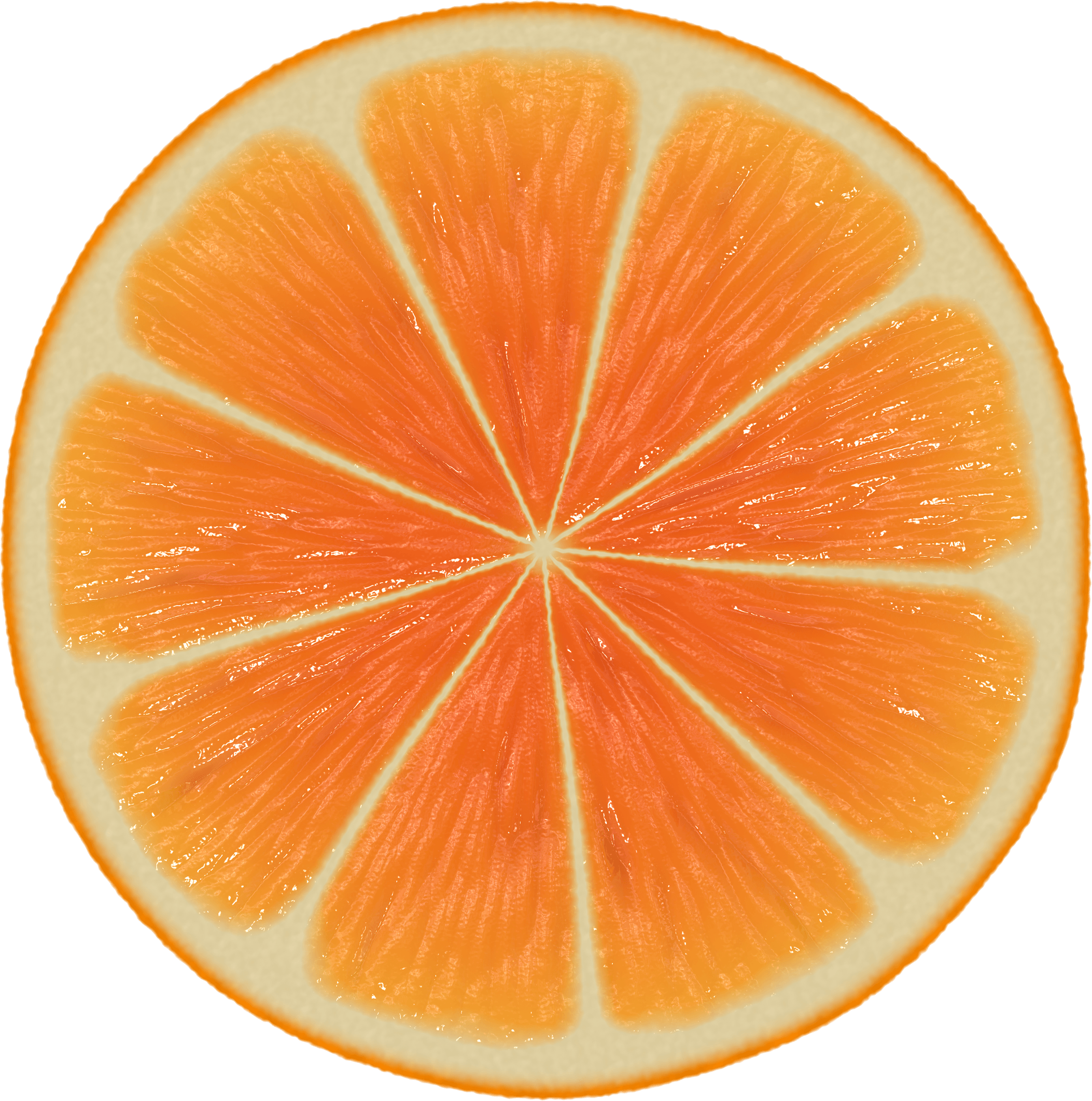 Orange Png Image Download PNG Image