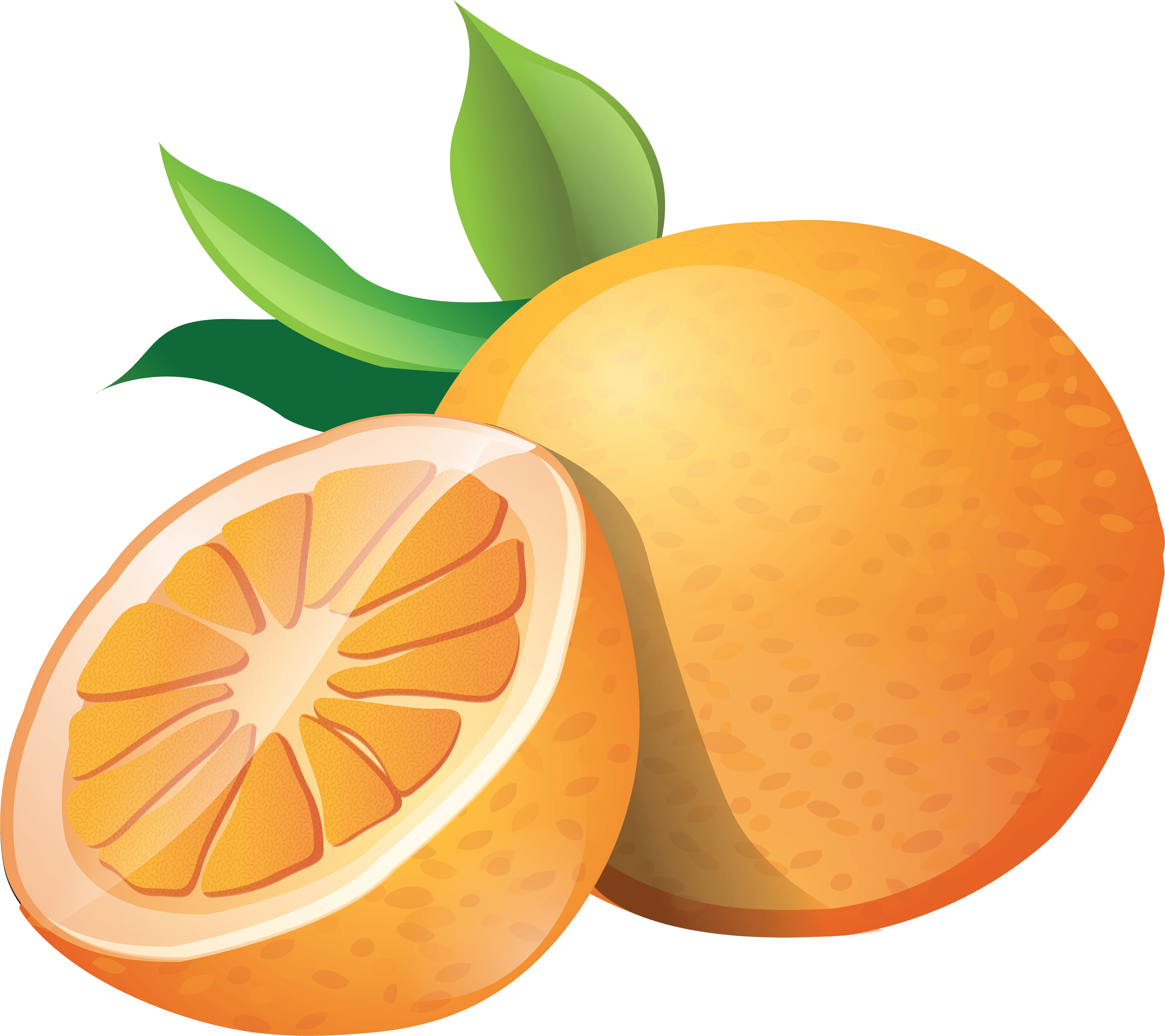 Orange Png Image Download PNG Image