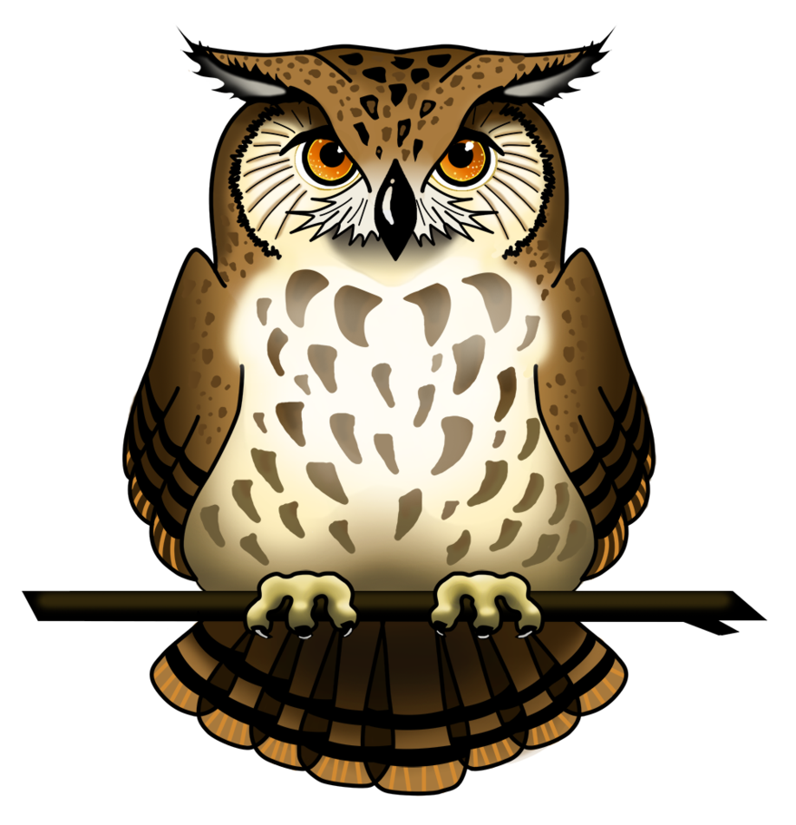 Owl Picture PNG Image