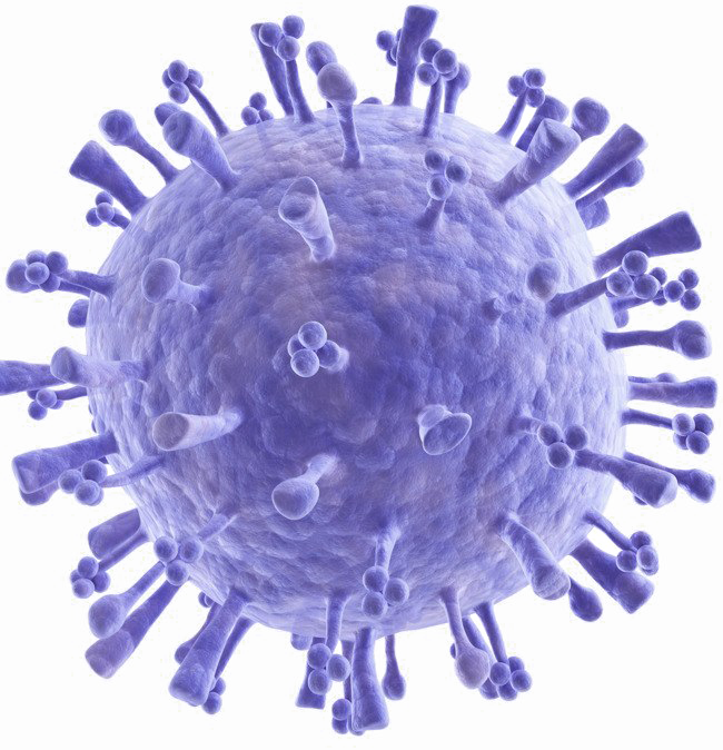 Bacteria Image Free HQ Image PNG Image