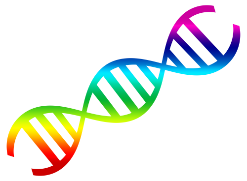 Dna Image Free Download Image PNG Image