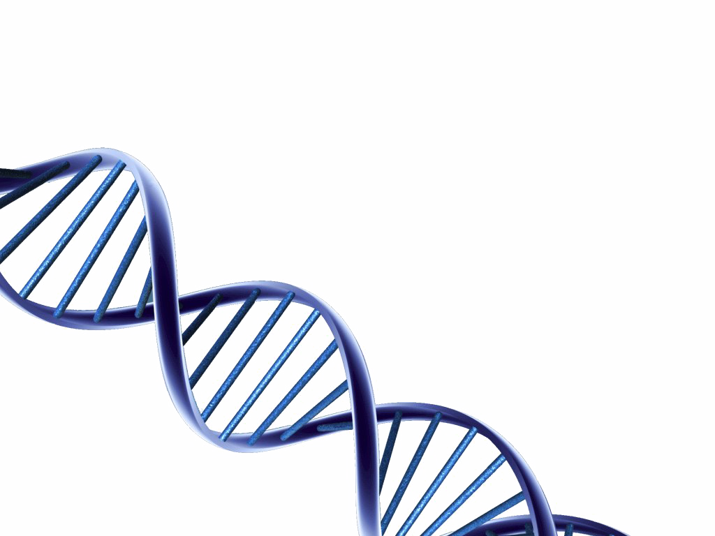 Dna HD Free Download Image PNG Image