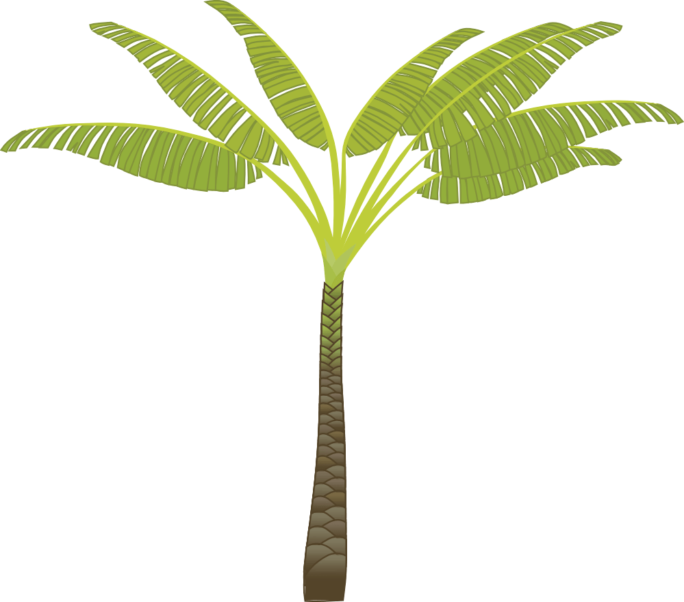 Palm Tree Png PNG Image