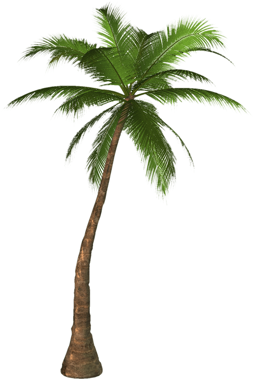 Palm Tree Png PNG Image