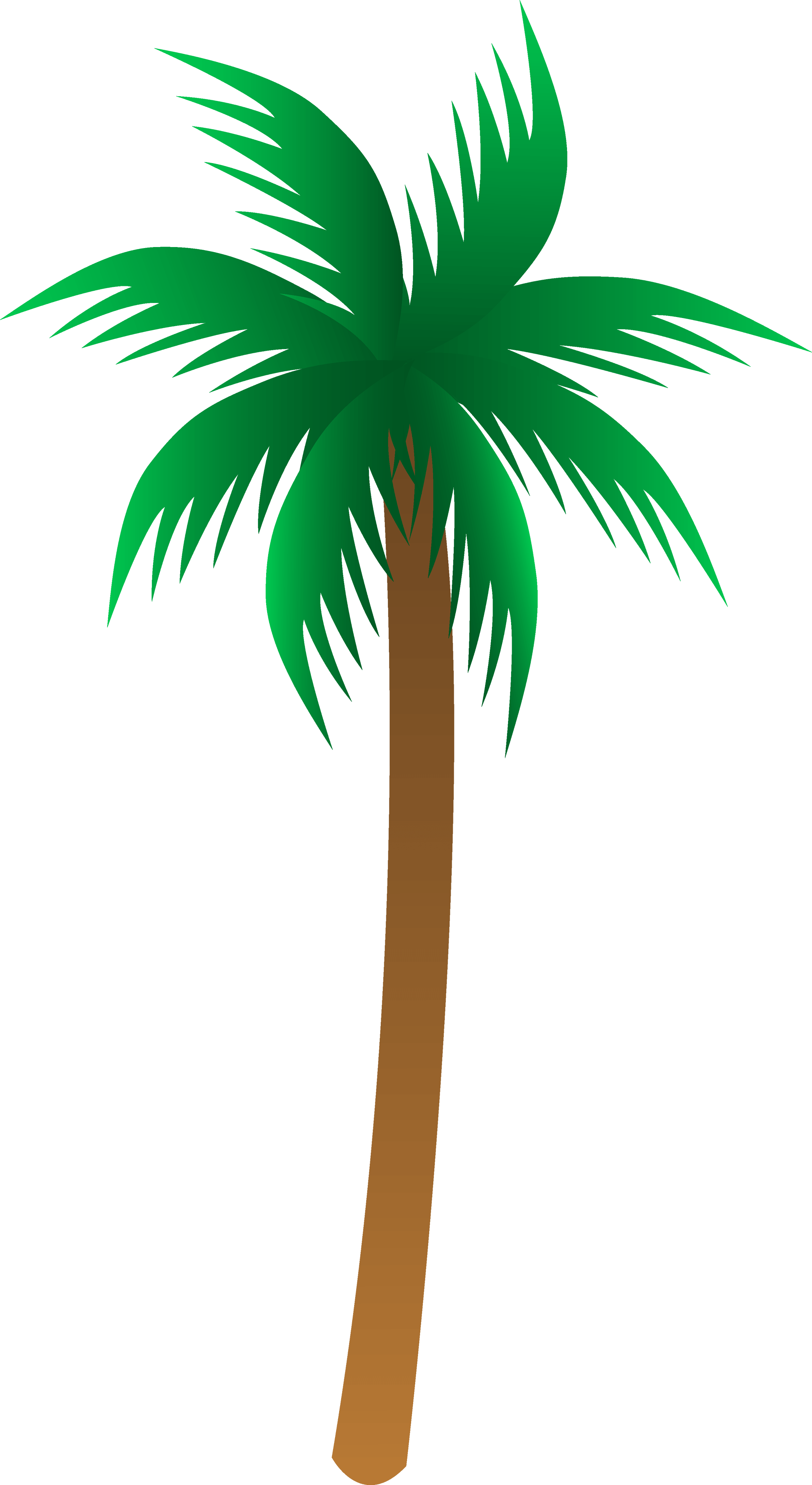 Palm Tree Png PNG Image