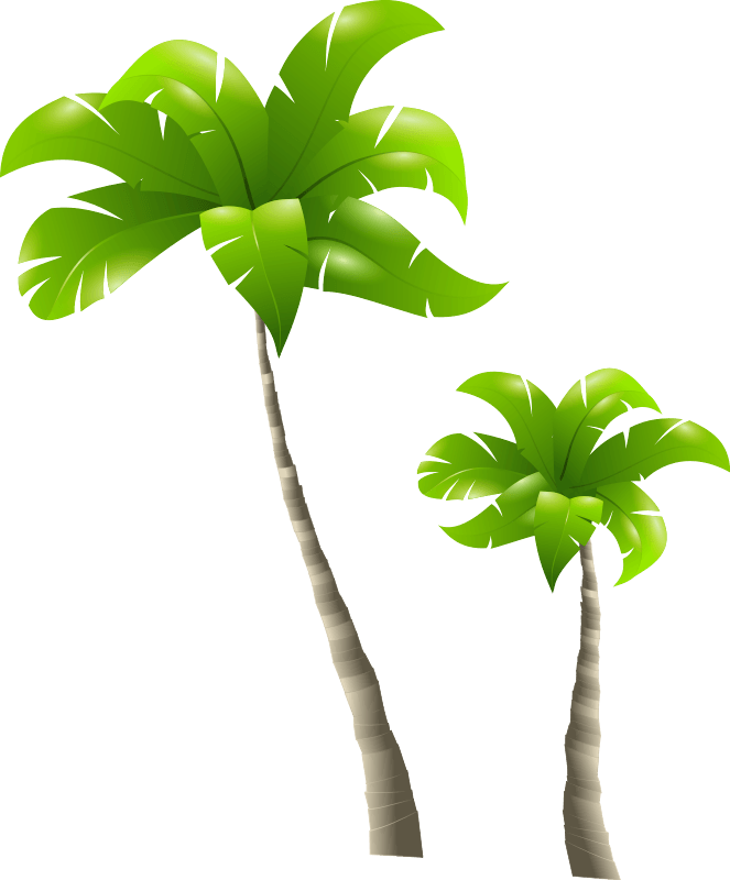 Palm Tree Png PNG Image