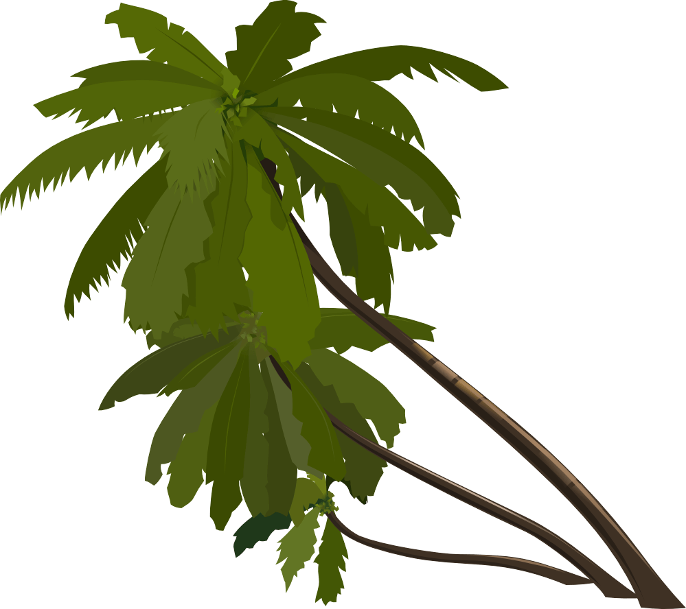 Palm Tree Png PNG Image