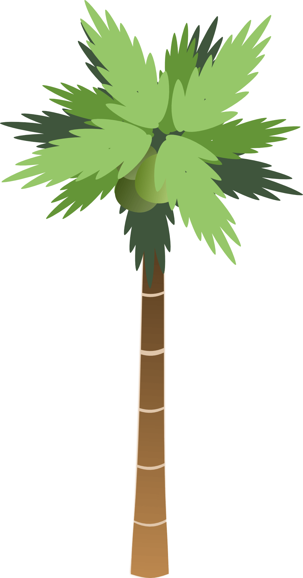 Palm Tree Png PNG Image