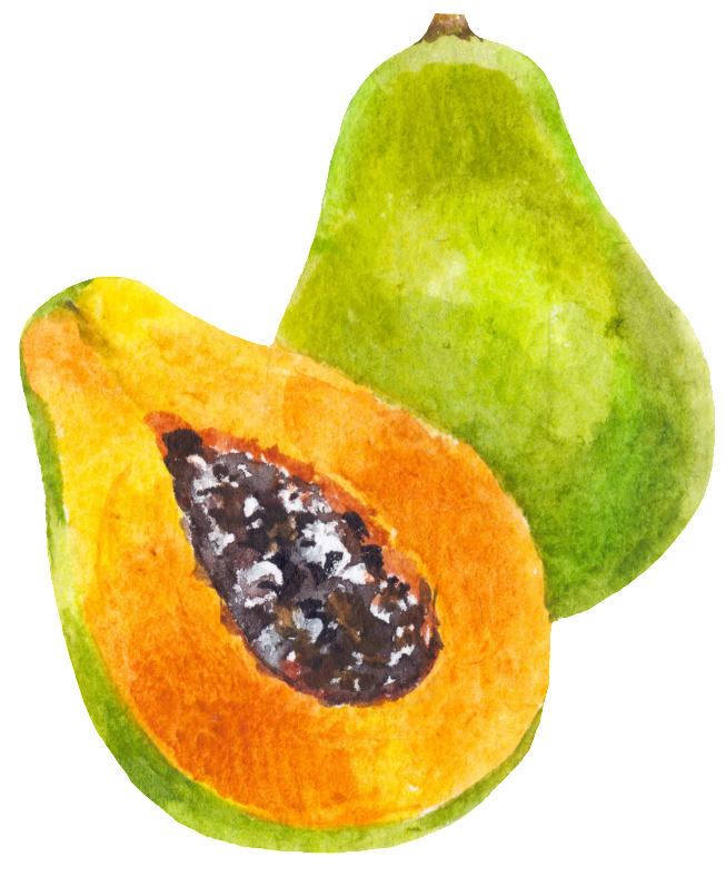 Papaya Half Download HD PNG Image