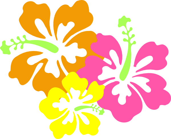 Hawaiian Luau HQ Image Free PNG Image