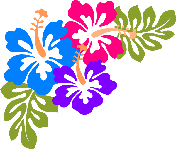 Hawaiian Luau HQ Image Free PNG Image