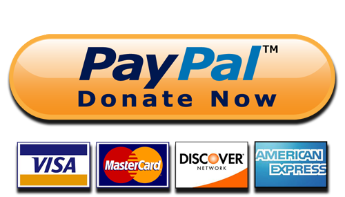 Paypal Donate Button High-Quality Png PNG Image