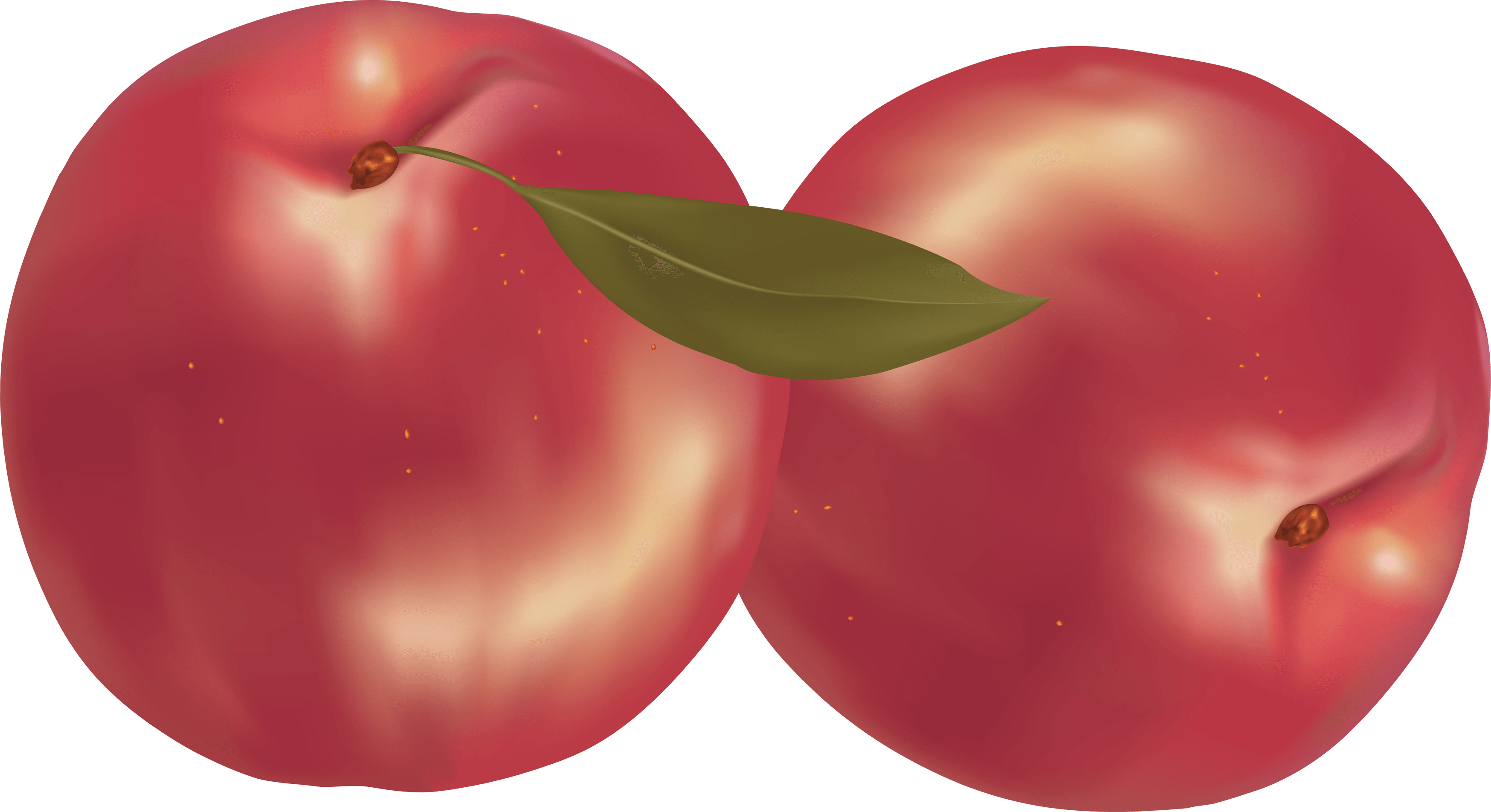 Peach Png Image PNG Image