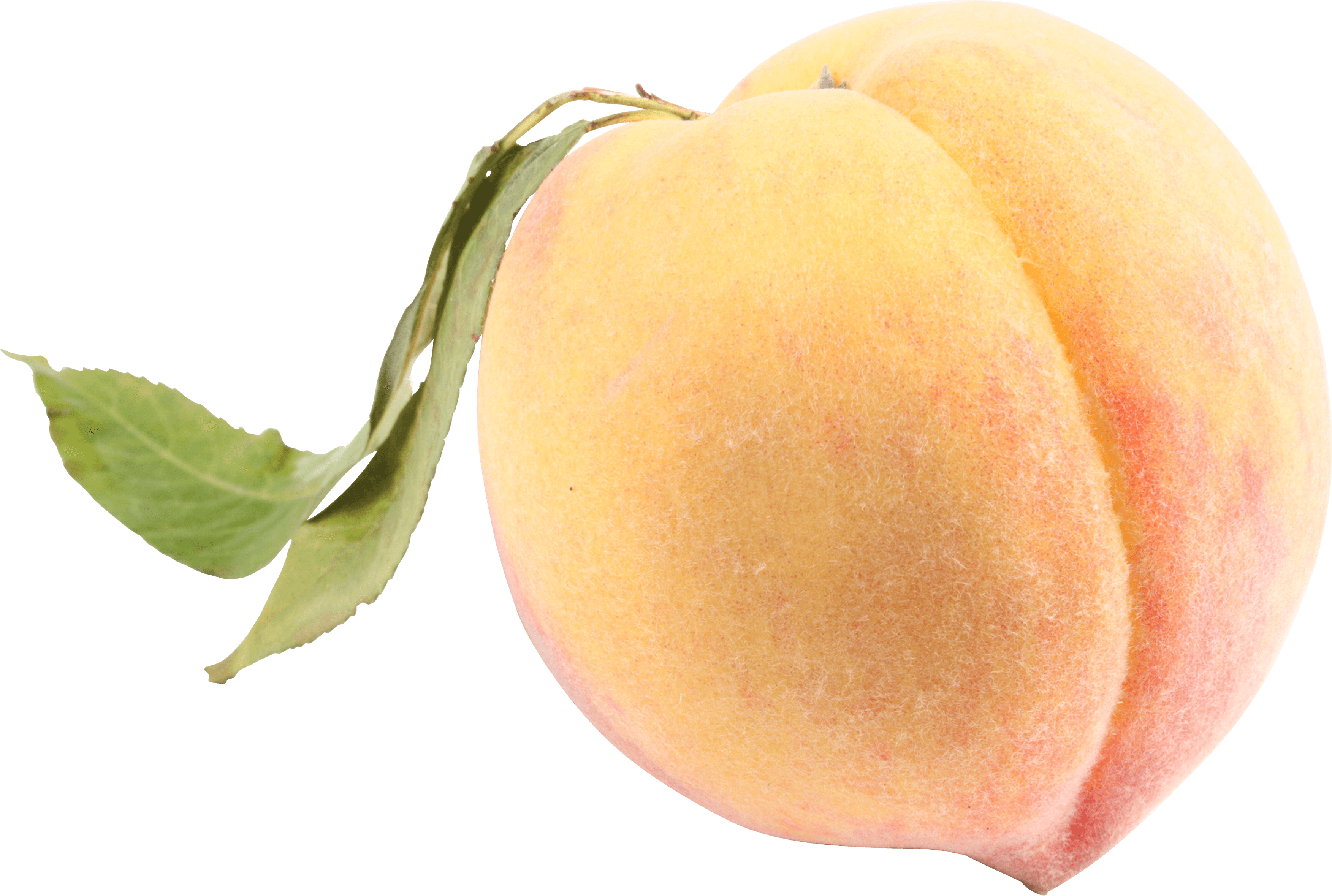 Peach Png Image PNG Image