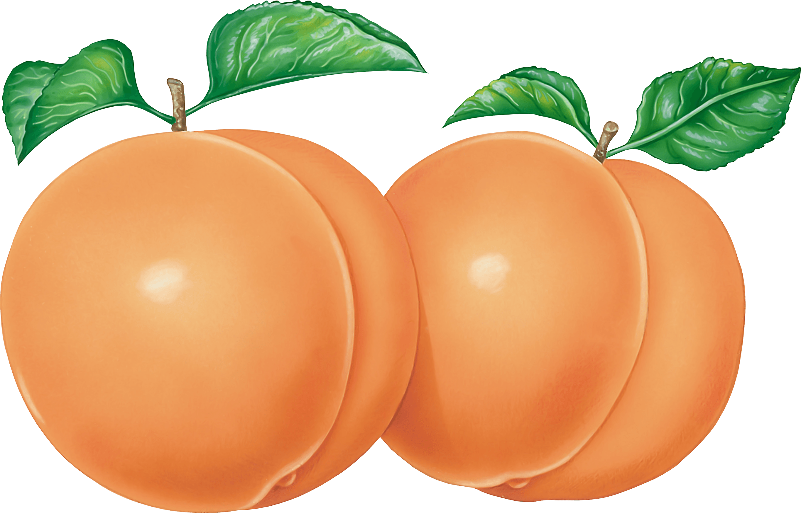 Peach Png Image PNG Image