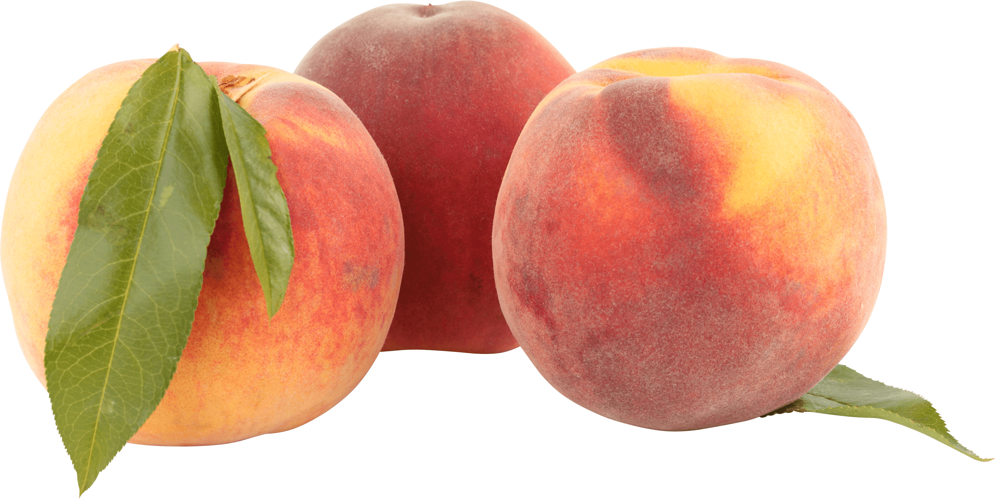 Peach Png Image PNG Image