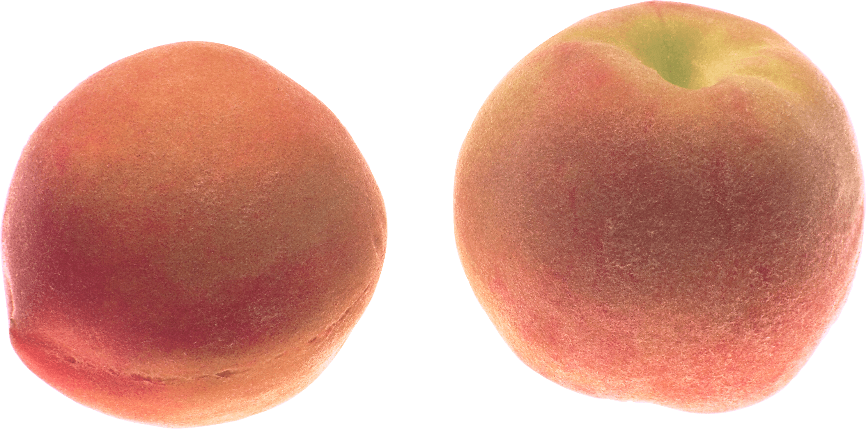 Peach Png Image PNG Image