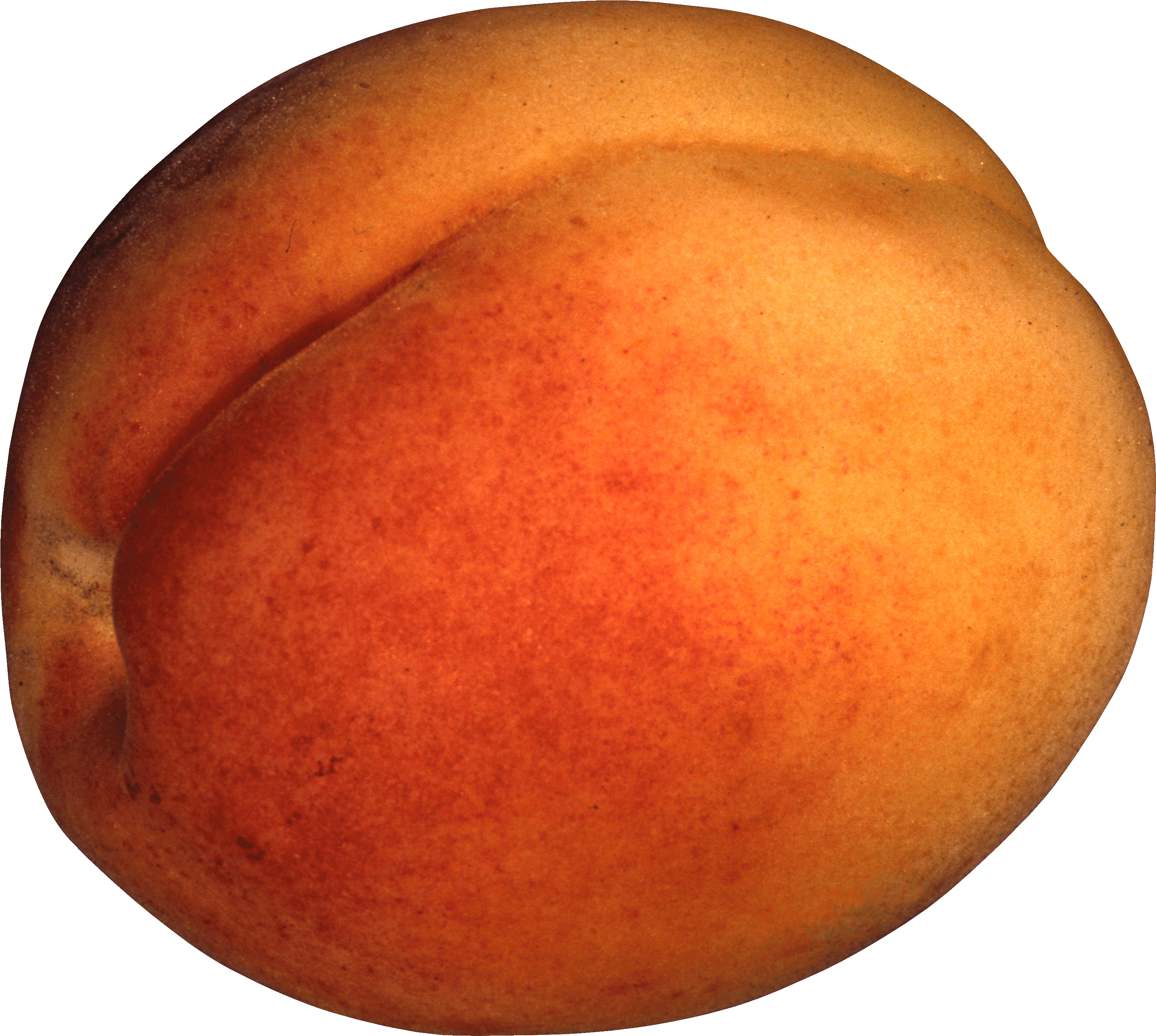 Peach Png Image PNG Image