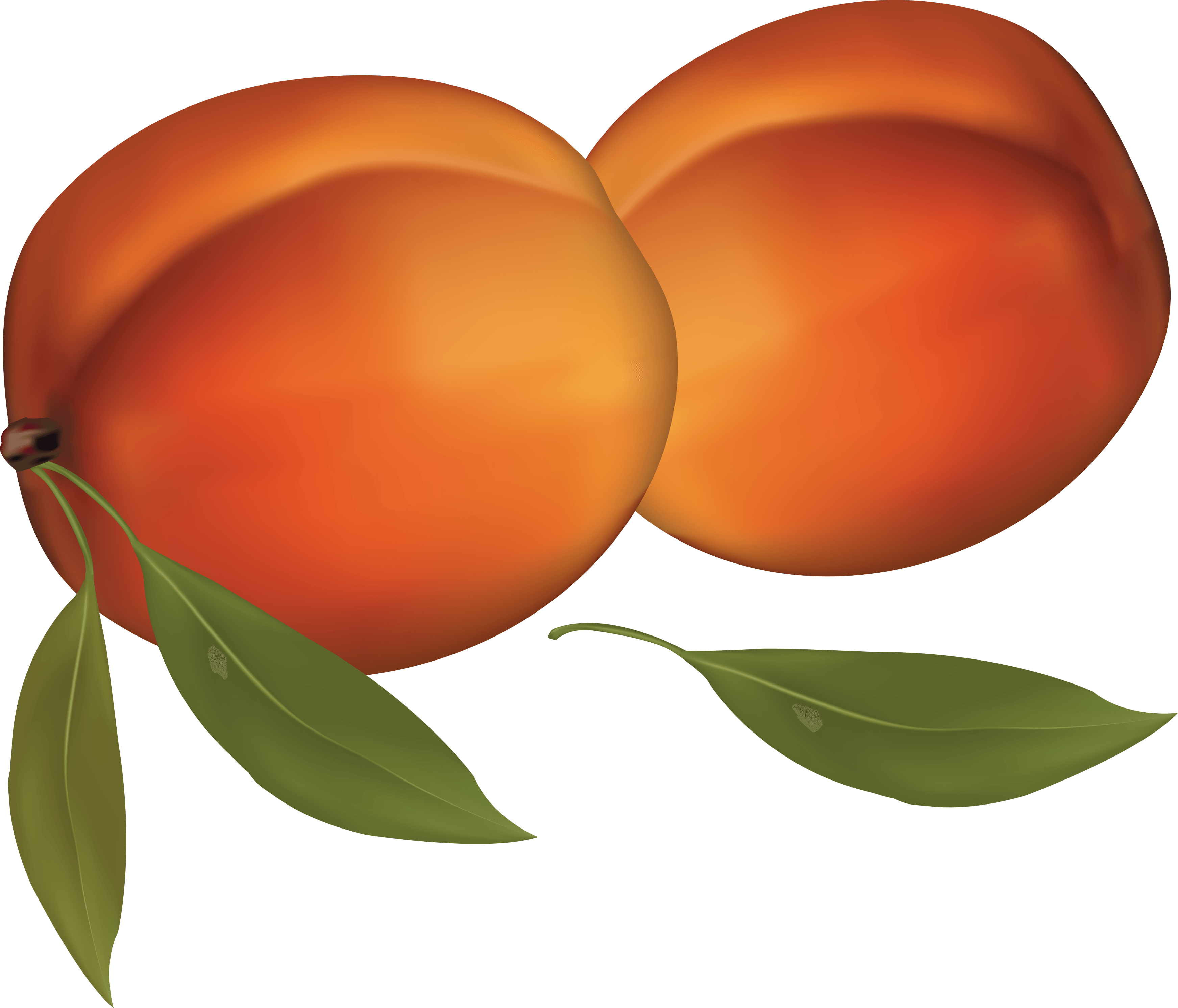 Peach Png Image PNG Image