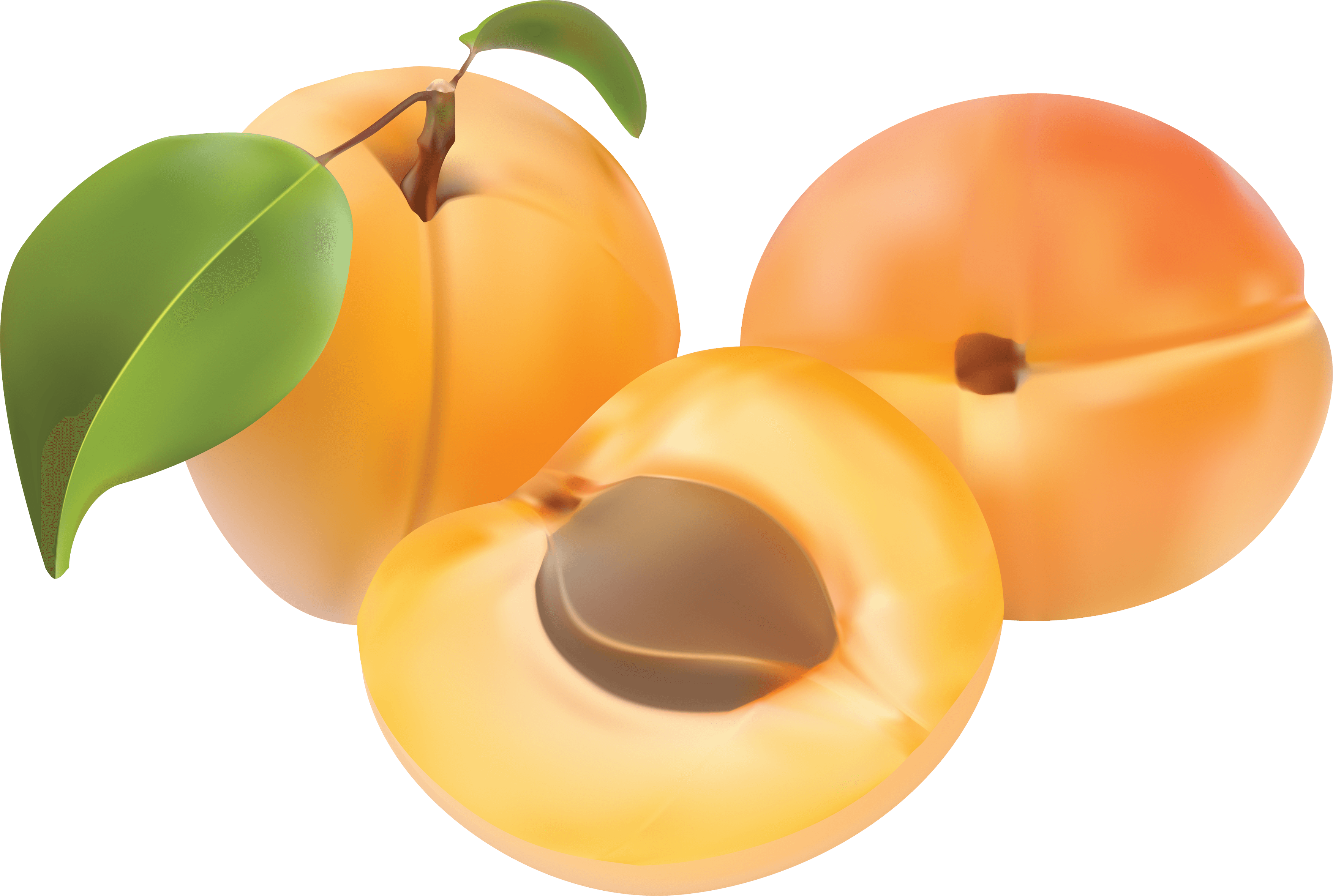 Peach Png Image PNG Image