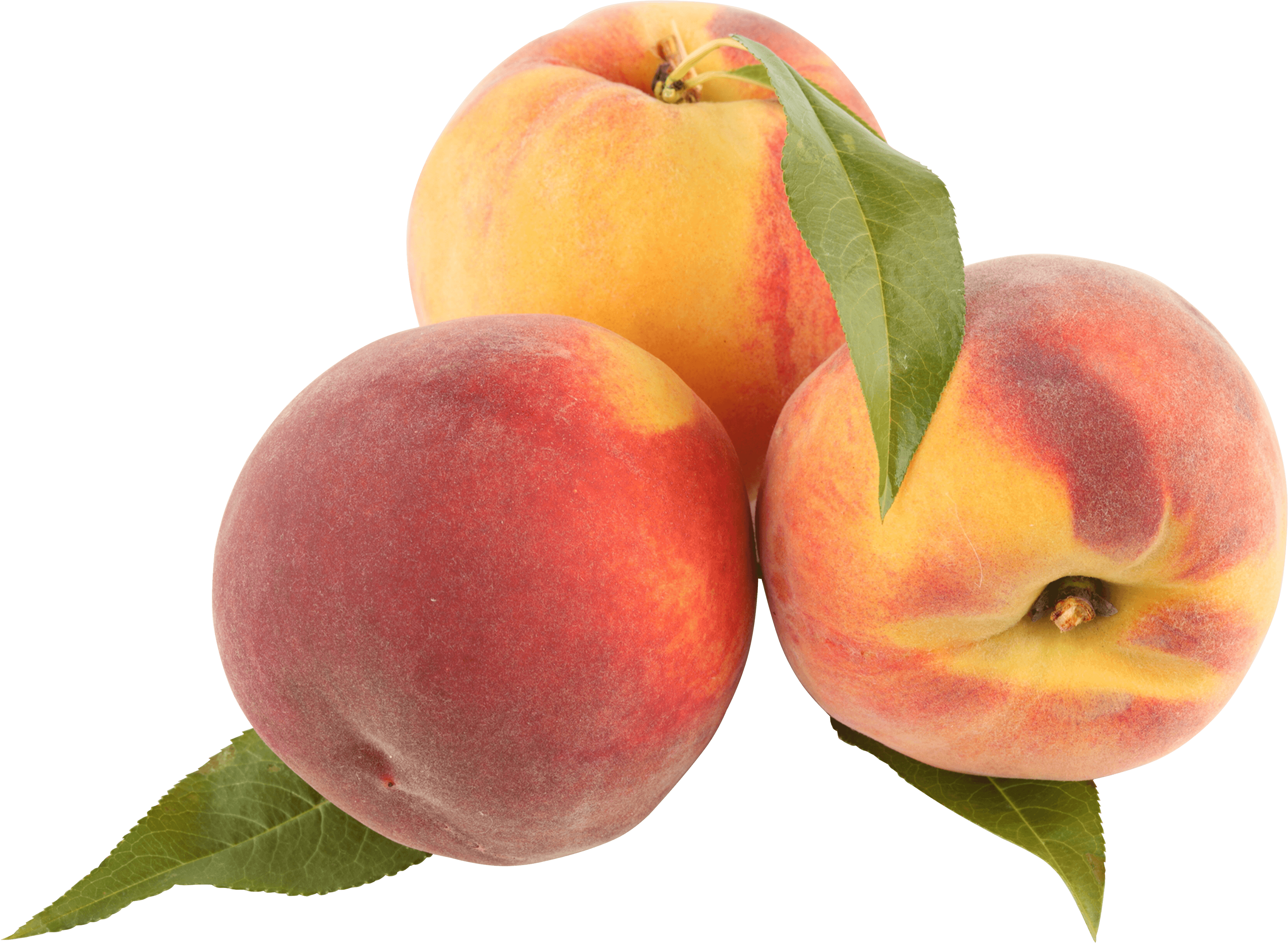 Peach Png Image PNG Image