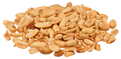 Peanut Free Download Png PNG Image